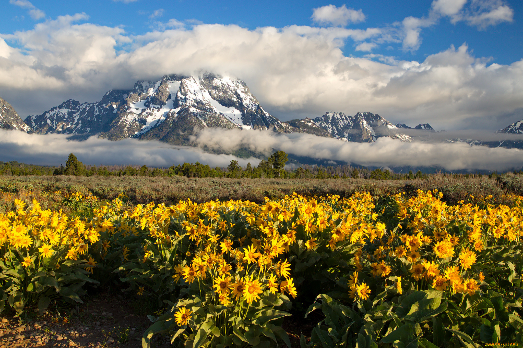 , , mount, moran, rocky, mountains, grand, teton, national, park, wyoming, , , , , -, , , , 